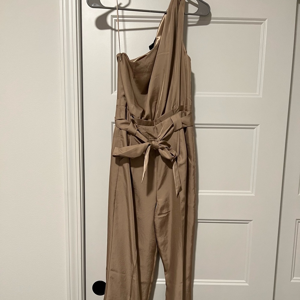 Express One Shoulder Jumpsuit